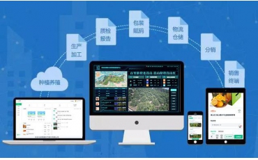 水果網紅避雷指南，“橙”心“橙”意做溯源